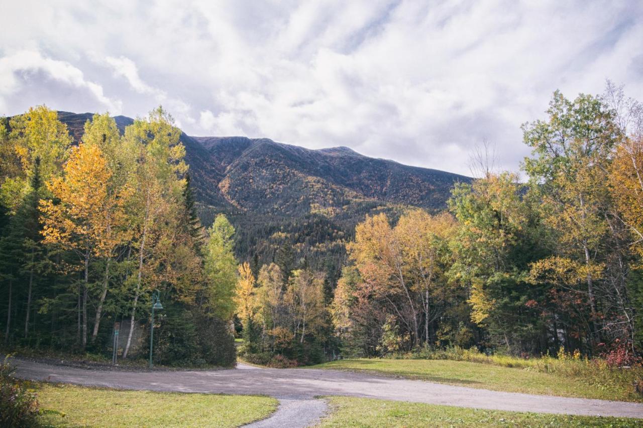 Gite Du Mont-Albert - Sepaq Sainte Anne des Monts Bagian luar foto